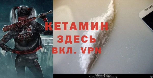 крисы Богородицк
