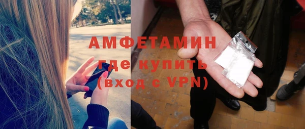 крисы Богородицк