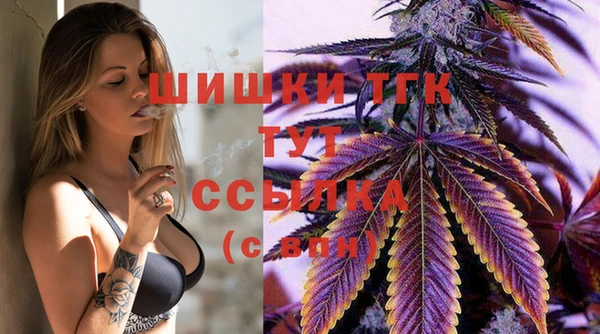 эйфоретик Бородино