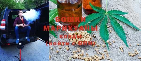 эйфоретик Бородино