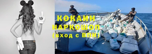 сатива Богданович