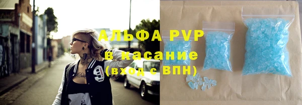сатива Богданович