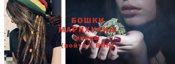 сатива Богданович