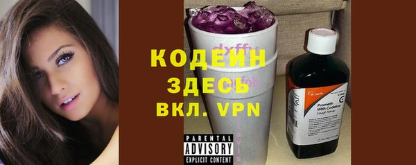 крисы Богородицк