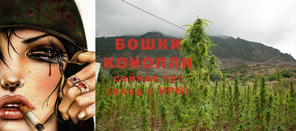 эйфоретик Бородино