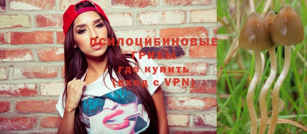 сатива Богданович