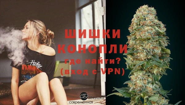 сатива Богданович