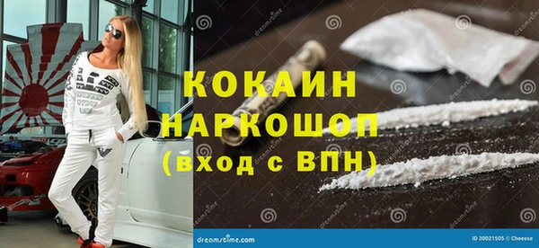 крисы Богородицк