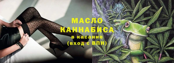 крисы Богородицк