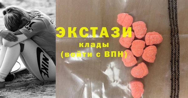 крисы Богородицк