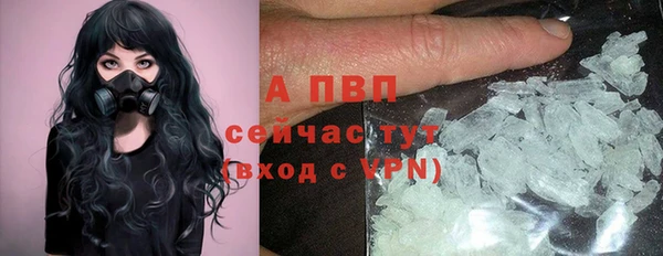 крисы Богородицк