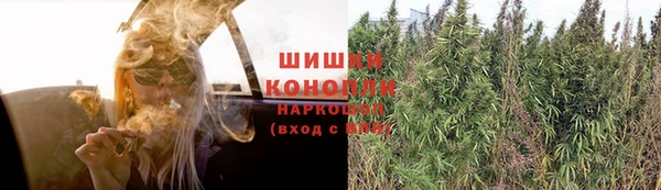 стафф Бронницы