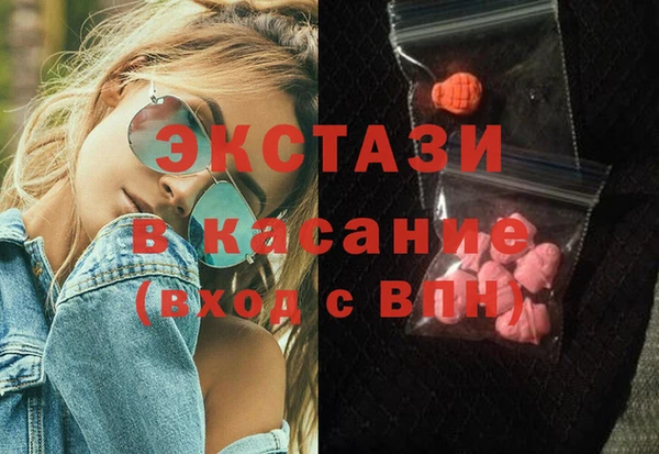 крисы Богородицк