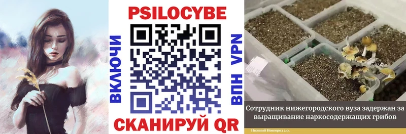 hydra сайт  Мурманск  Галлюциногенные грибы мухоморы 