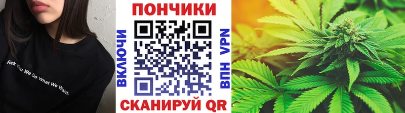 Бошки марихуана план  даркнет сайт  Мурманск 